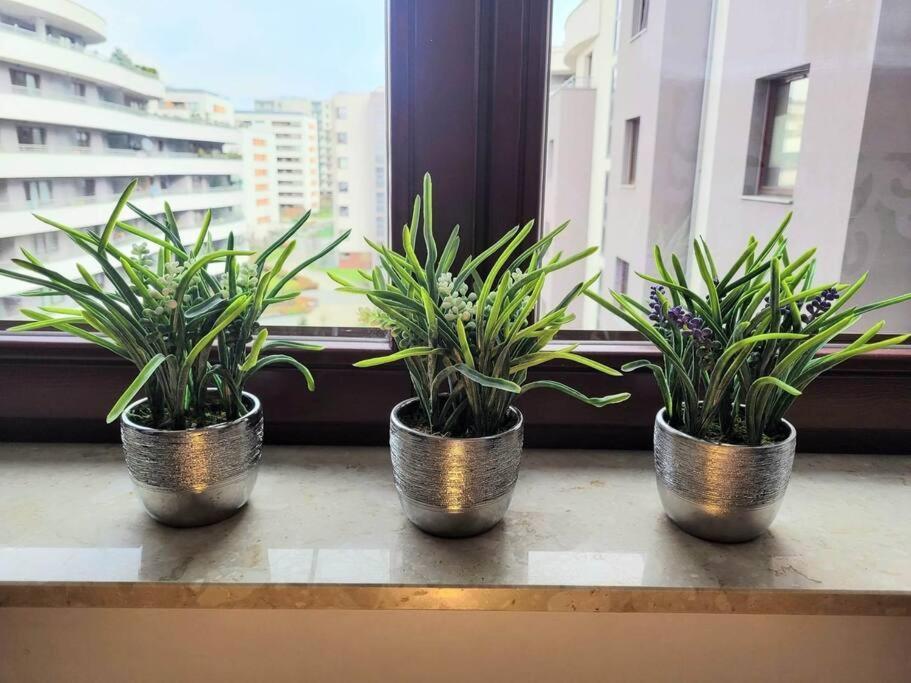 Apartment Sophie 3 Rooms, 2 Bathrooms, 8 Persons Krakow Exterior photo